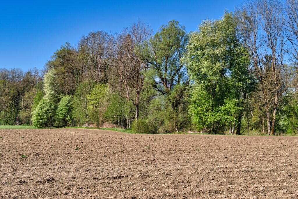 Farmers planting trees along the edges of fields.