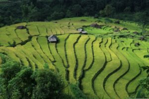5 Proven Methods for Soil Erosion Prevention and Degradation