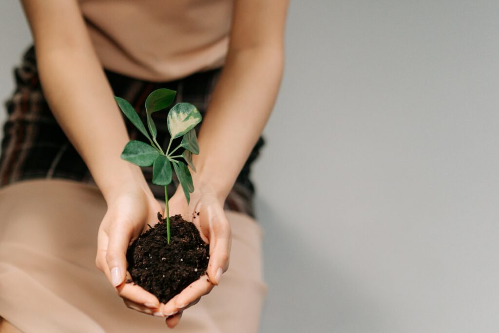 Close-up of hands holding rich, dark soil with small plants growing.