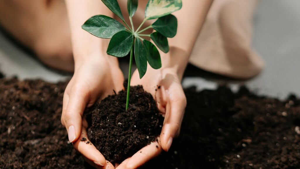 Hands holding fertile soil with plants growing