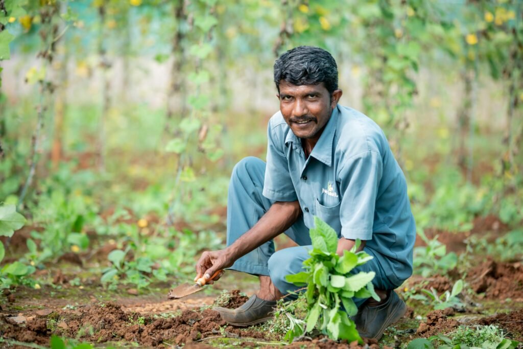 A smiling farmer in a green field