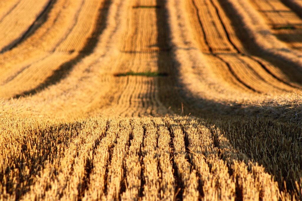 A farm field showing contour plowing patterns.