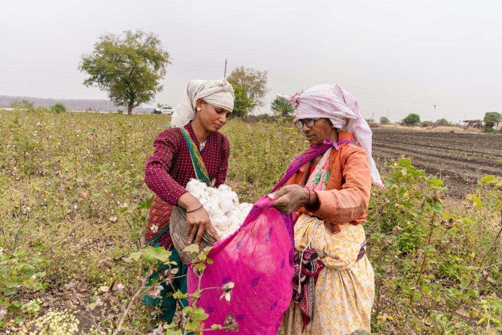 Two Indian farmers working together in a lush green crop field under a clear sky, showcasing sustainable agriculture practices.
