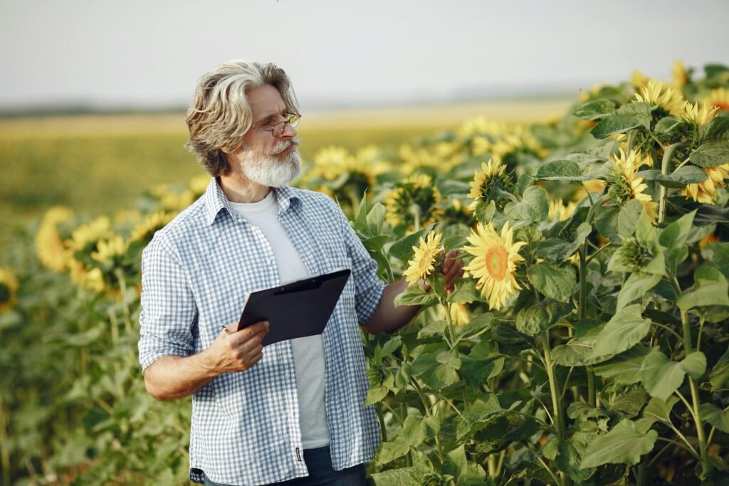 Farmer examining sunflowers in a lush field, representing sustainable agriculture challenges and the need for stronger farm bill support.