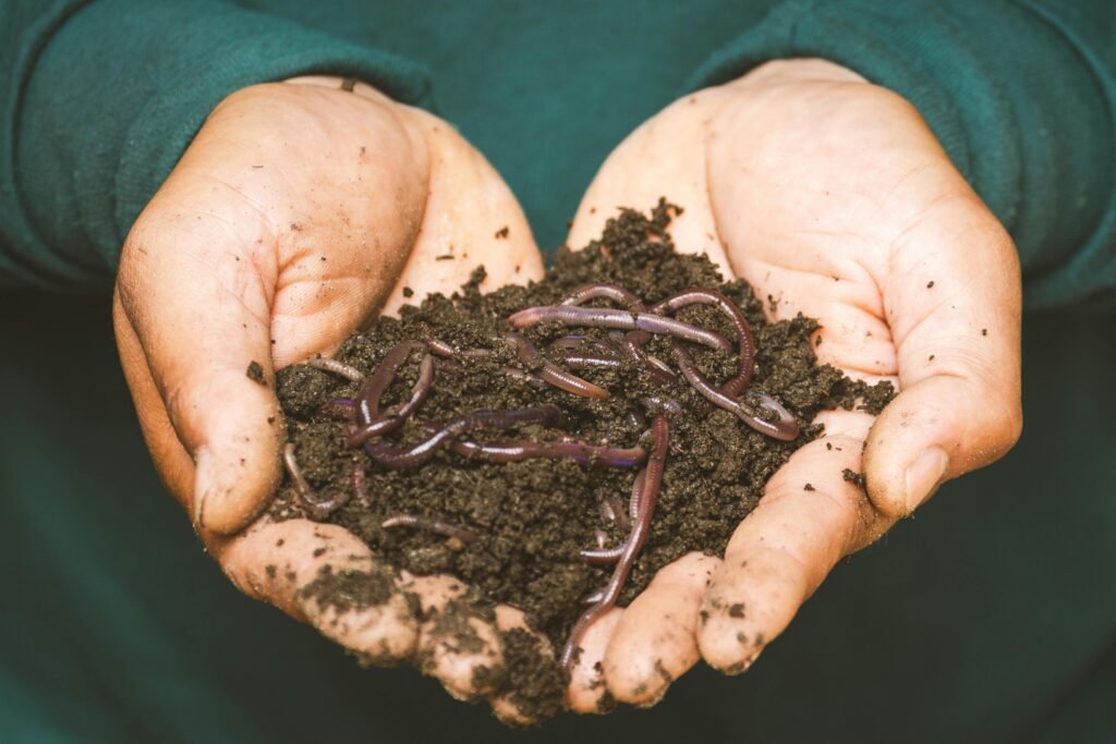 Earthworms on a person's hand showcasing living soil regeneration in natural farming.