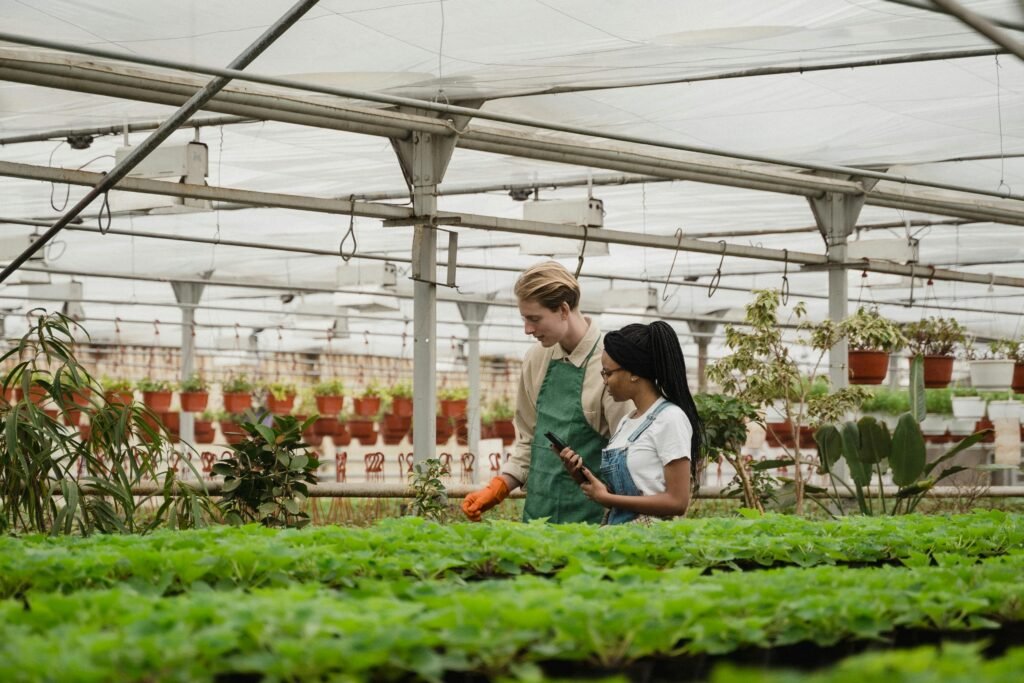 Horticulturists tending lush green plants in a sunlit hothouse, showcasing hydroponic sustainable farming methods for Punjab's water-scarce fields.